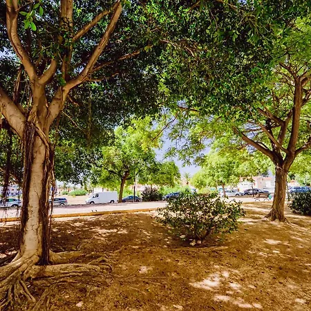 San Miguel 1-4 דירה