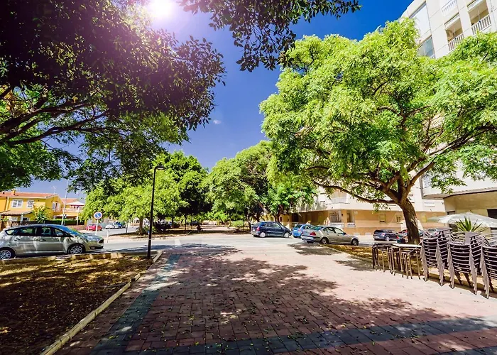 San Miguel 1-4 Torrevieja