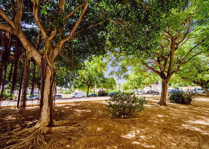 San Miguel 1-4 Appartement